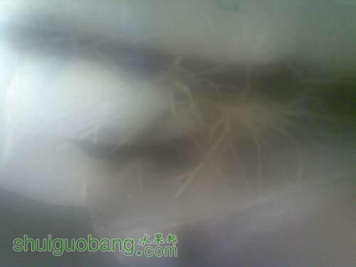 20110929_006.jpg