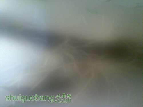 20110929_007.jpg