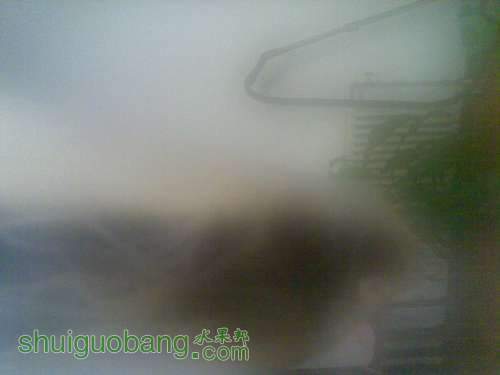 20110929_008.jpg