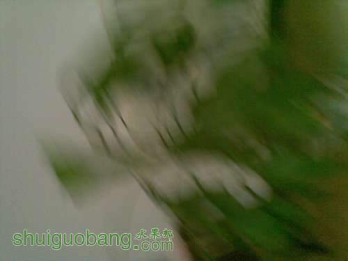 20110929_012.jpg