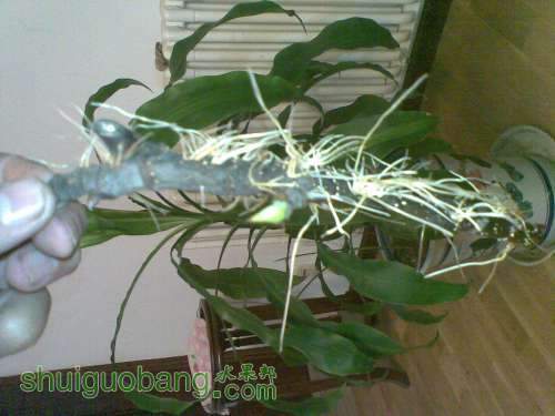 20110929_017.jpg