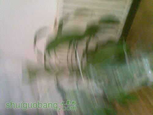 20110929_019.jpg