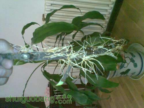 20110929_020.jpg