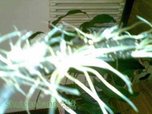 20110929_022.jpg