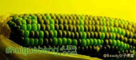 105957mzffkepjp3o77vbb.jpg