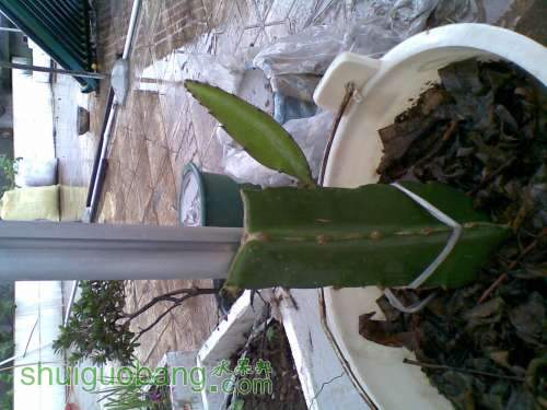 20111002.jpg