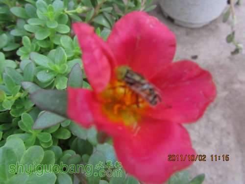IMG_1919.JPG