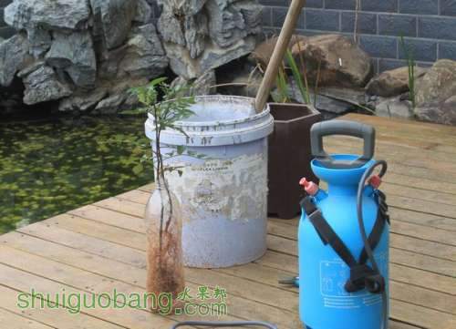 Ƭ 009.jpg