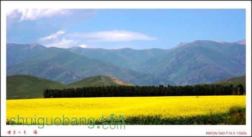 DSC_7744_conew1.jpg