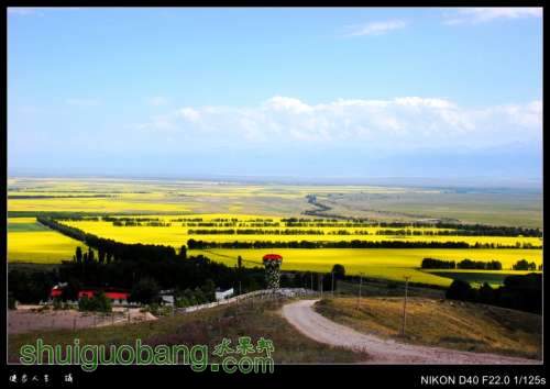 DSC_7861_conew2.jpg