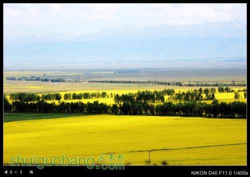DSC_7882_conew2.jpg