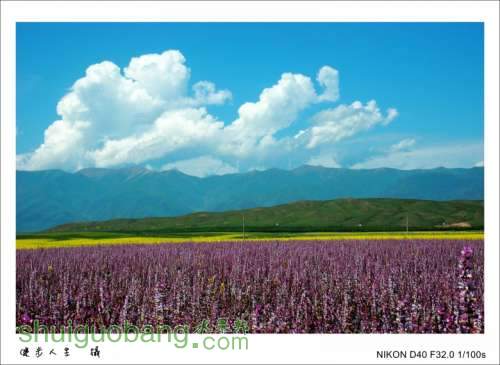 DSC_7602_conew1.jpg