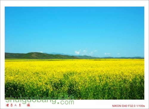 DSC_7603_conew1.jpg