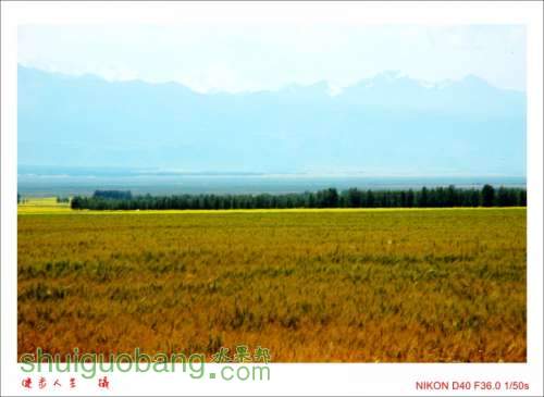 DSC_7607_conew1.jpg