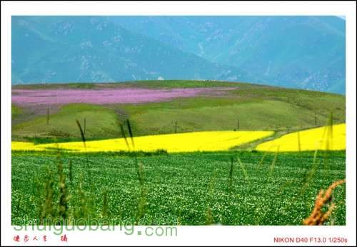 DSC_7635_conew1.jpg