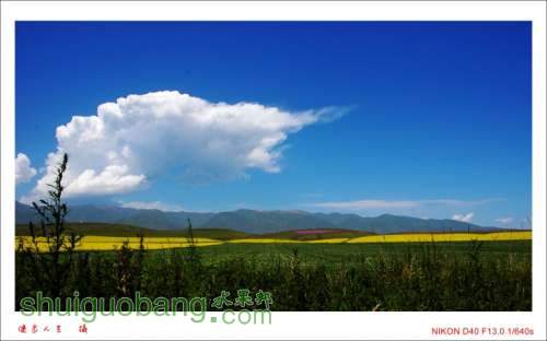 DSC_7679_conew1.jpg