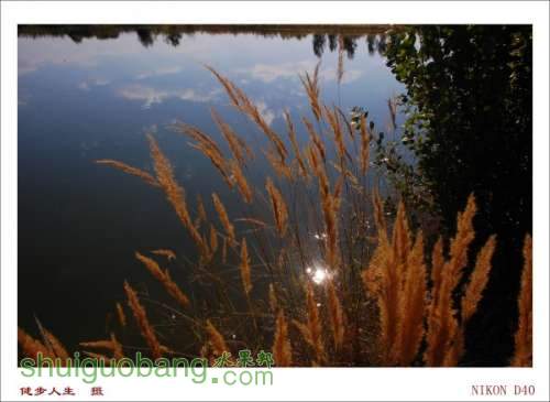 conew_dsc_3464.jpg