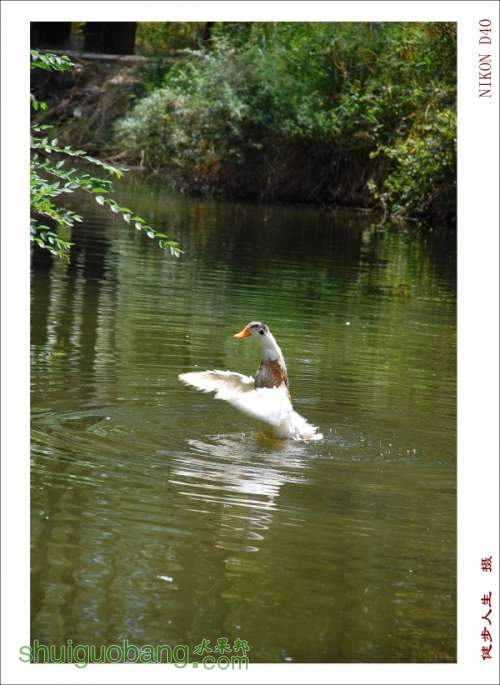conew_dsc_3715.jpg