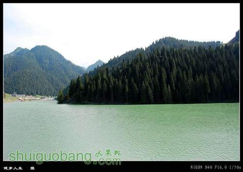 DSC_0663_conew1.jpg