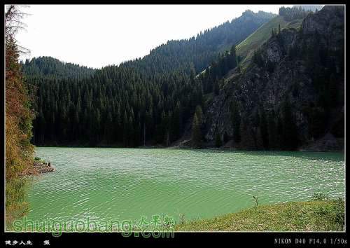 DSC_0741_conew1.jpg