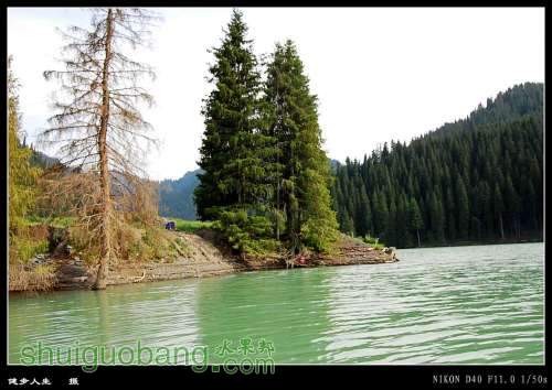 DSC_0793_conew2.jpg