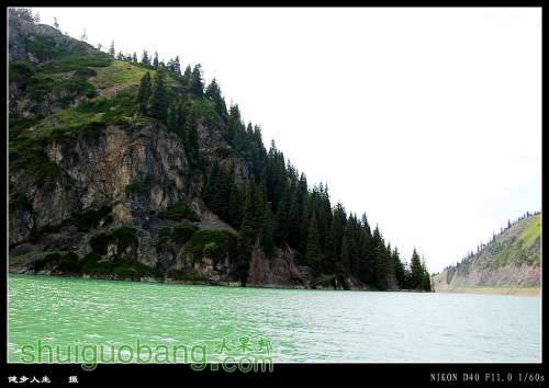 DSC_0803_conew1.jpg