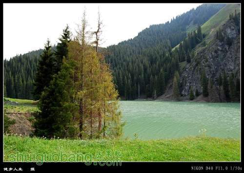 DSC_0814_conew2.jpg
