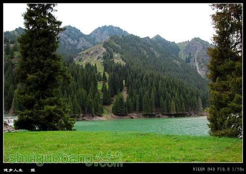 DSC_0931_conew1.jpg