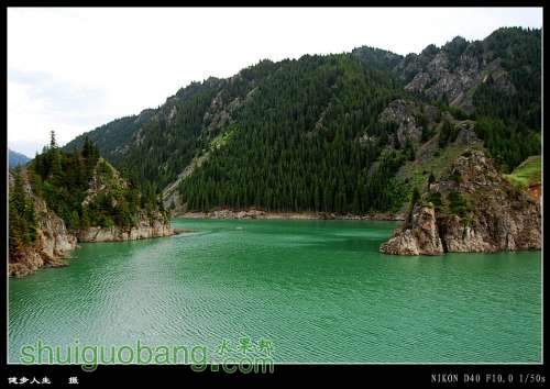 DSC_1003_conew1.jpg