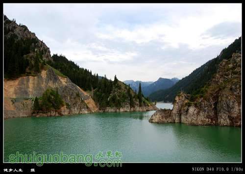 DSC_1033_conew1.jpg