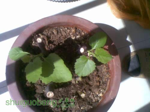 20111006_002.jpg