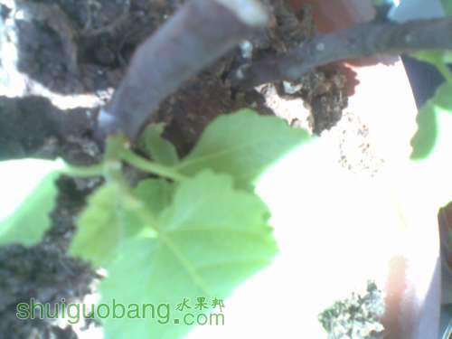 20111006_007.jpg