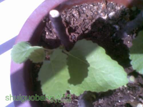 20111006_006.jpg