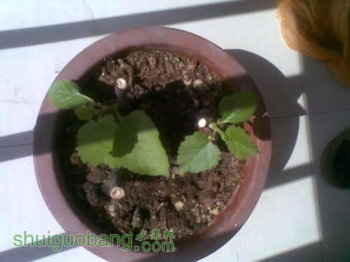 20111006_009.jpg