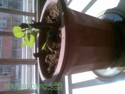 20111006_011.jpg