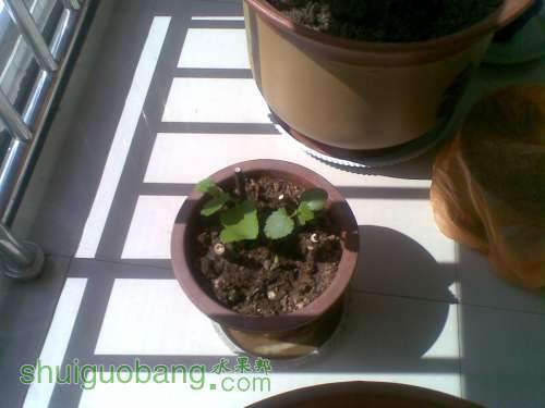 20111006_012.jpg