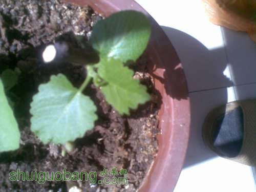 20111006_004.jpg