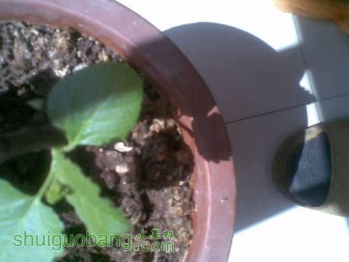 20111006_005.jpg
