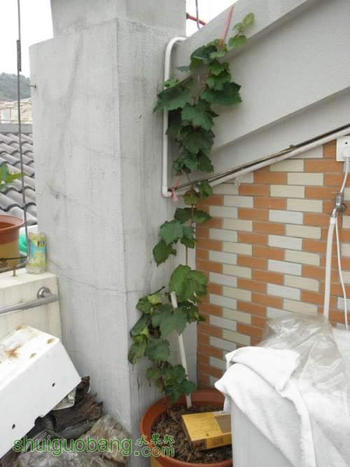 PA030890.JPG