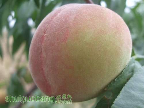 20011��7��28���Ϲ��� 5.jpg