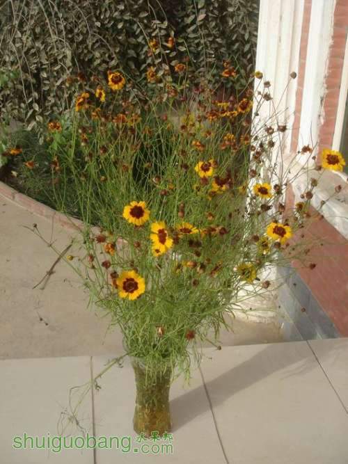 Resize of DSC02527.JPG