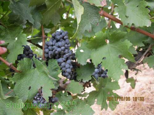 IMG_1628.jpg