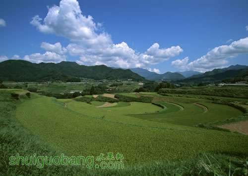 fault-of-the-country-2ch.jpg