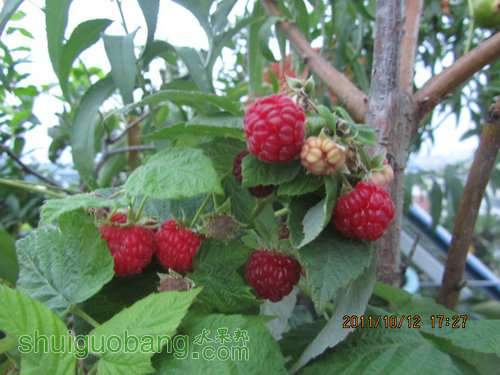 IMG_2576.JPG