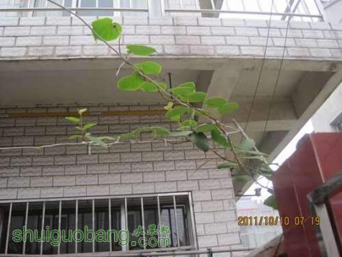 Ƭ 030.jpg
