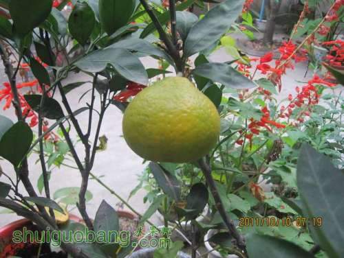 Ƭ 028.jpg