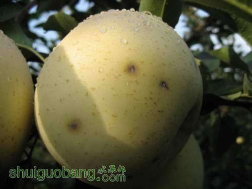 ʽ溦ͼ{ɳƻ} 003.jpg