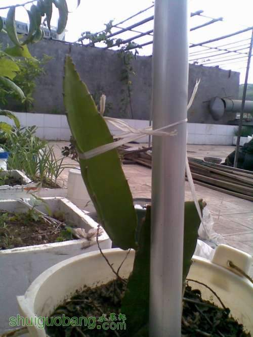 20111014(006).jpg