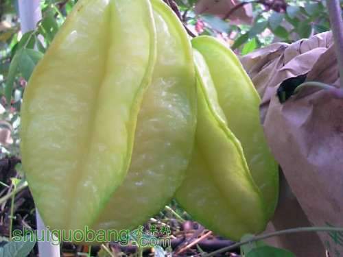 IMAG0680.jpg