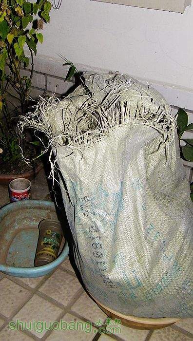 nEO_IMG_100_1599.jpg